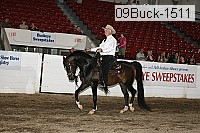 09buck-1511 proof