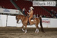09buck-1513 proof