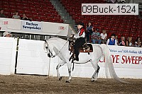 09buck-1524 proof