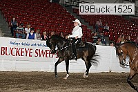 09buck-1525 proof