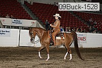 09buck-1528 proof