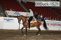 09buck-1529 proof