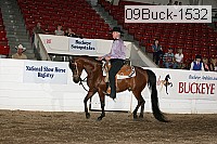 09buck-1532 proof