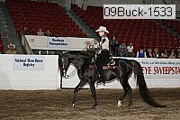 09buck-1533 proof