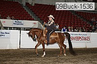 09buck-1536 proof