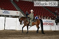 09buck-1538 proof