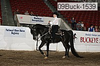 09buck-1539 proof