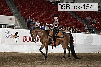 09buck-1541 proof