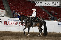 09buck-1543 proof