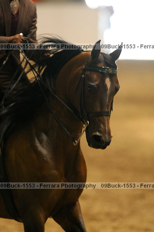 Proof 09buck-1553
