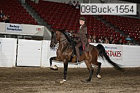 09buck-1554 proof