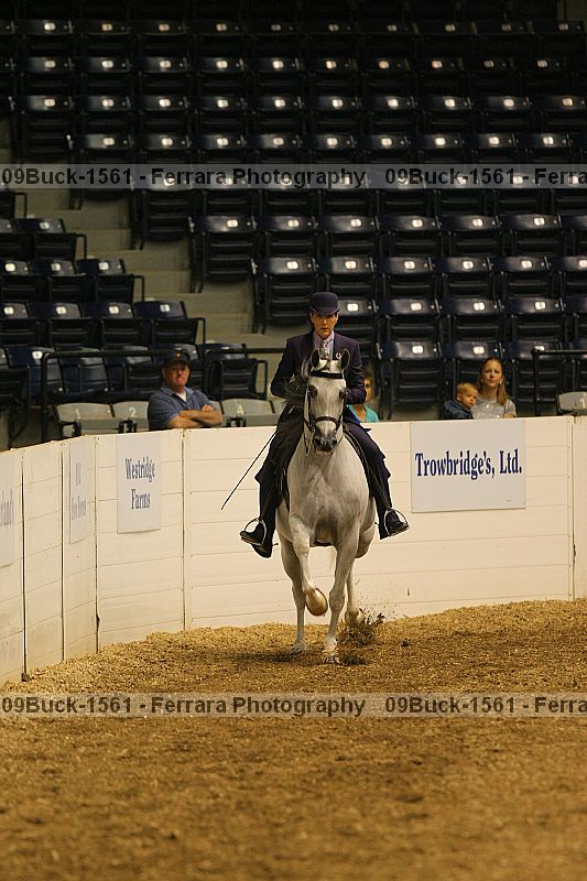 Proof 09buck-1561