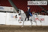 09buck-1564 proof
