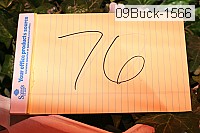 09buck-1566 proof