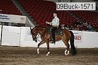 09buck-1571 proof