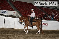 09buck-1584 proof