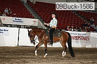 09buck-1586 proof