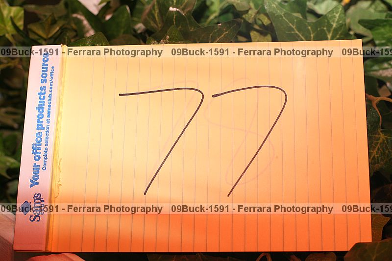 Proof 09buck-1591