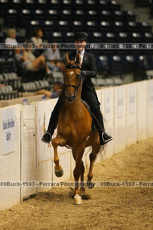 Proof 09buck-1593