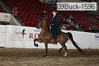 09buck-1596 proof
