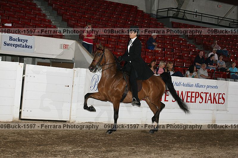 Proof 09buck-1597
