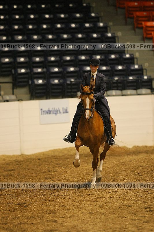 Proof 09buck-1598