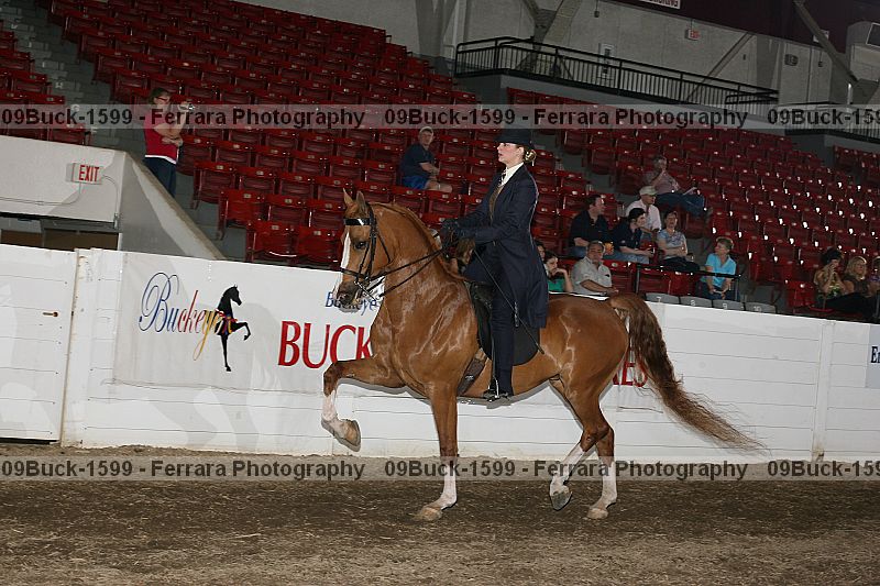 Proof 09buck-1599