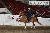 09buck-1599 proof