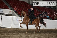09buck-1600 proof