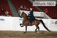 09buck-1601 proof