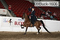 09buck-1606 proof