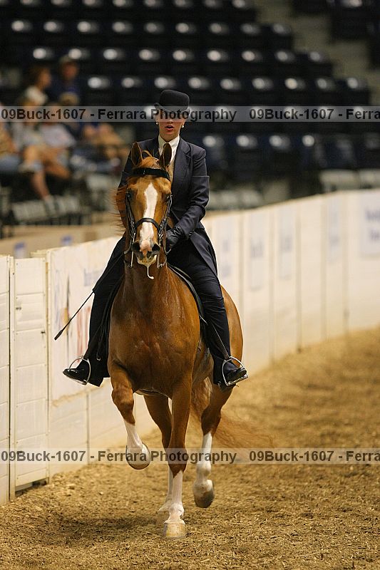 Proof 09buck-1607