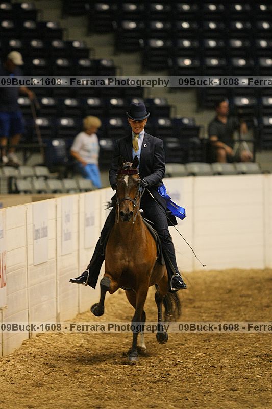 Proof 09buck-1608