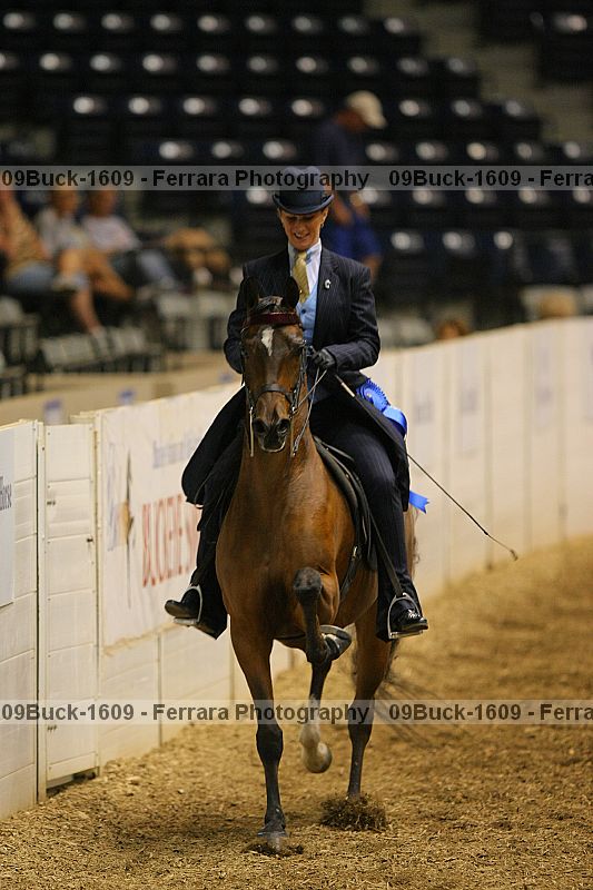 Proof 09buck-1609