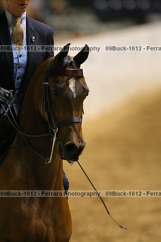 Proof 09buck-1612