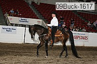 09buck-1617 proof