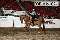 09buck-1624 proof