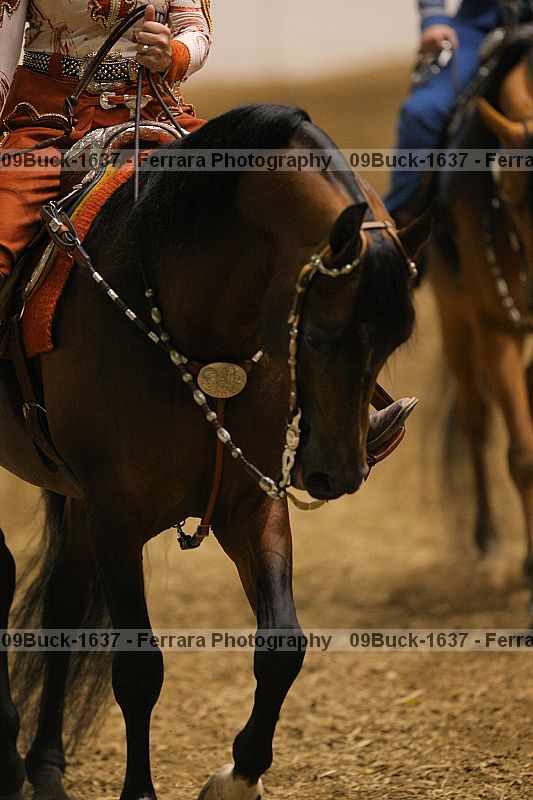 Proof 09buck-1637