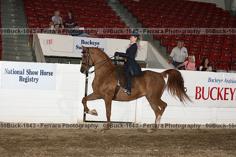 Proof 09buck-1643