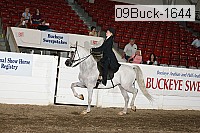 09buck-1644 proof