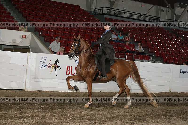 Proof 09buck-1646