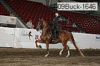 09buck-1646 proof