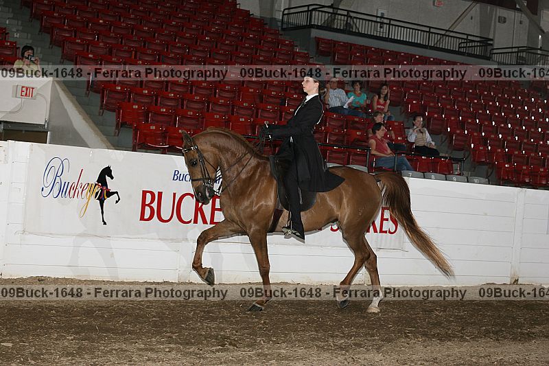Proof 09buck-1648