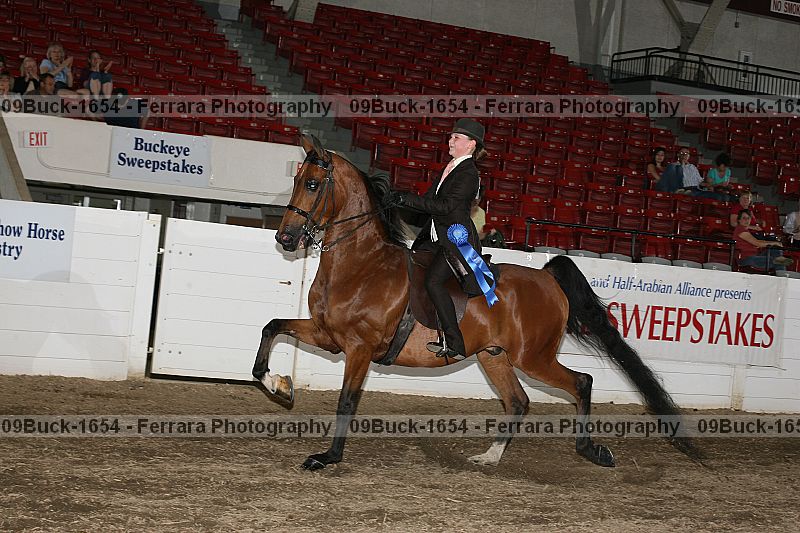 Proof 09buck-1654