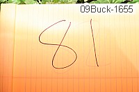 09buck-1655 proof
