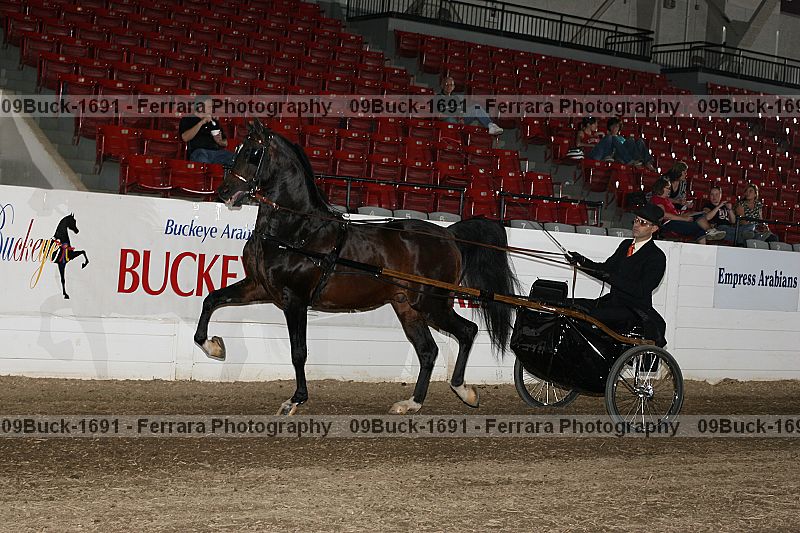 Proof 09buck-1691