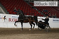 09buck-1691 proof