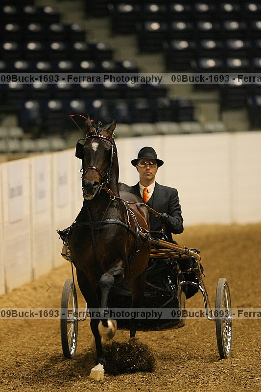 Proof 09buck-1693