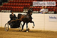 09buck-1694 proof