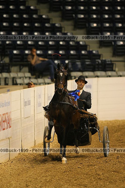 Proof 09buck-1695